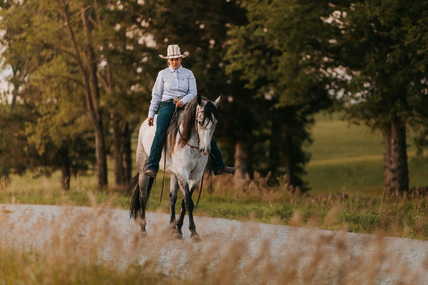 A cowboy in a white hat rides a gray horse along a scenic rural path surrounded by lush green trees and fields.