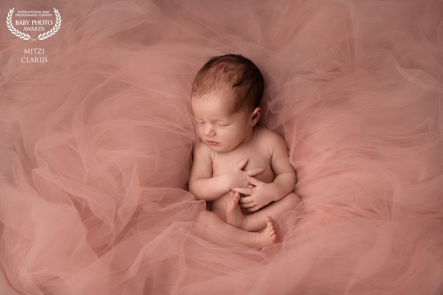 Award winnende foto internationale wedstrijd van pasgeboren baby tijdens newbornshoot in studio in Goes, Zeeland