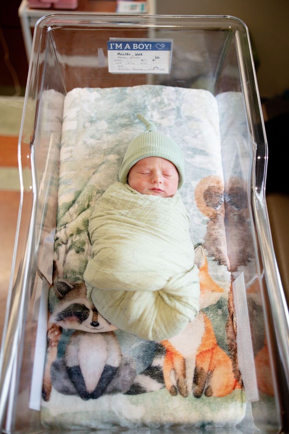 Newborn baby boy swaddled in green wrap and hat sleeping peacefully in hospital bassinet with woodland animal blanket.