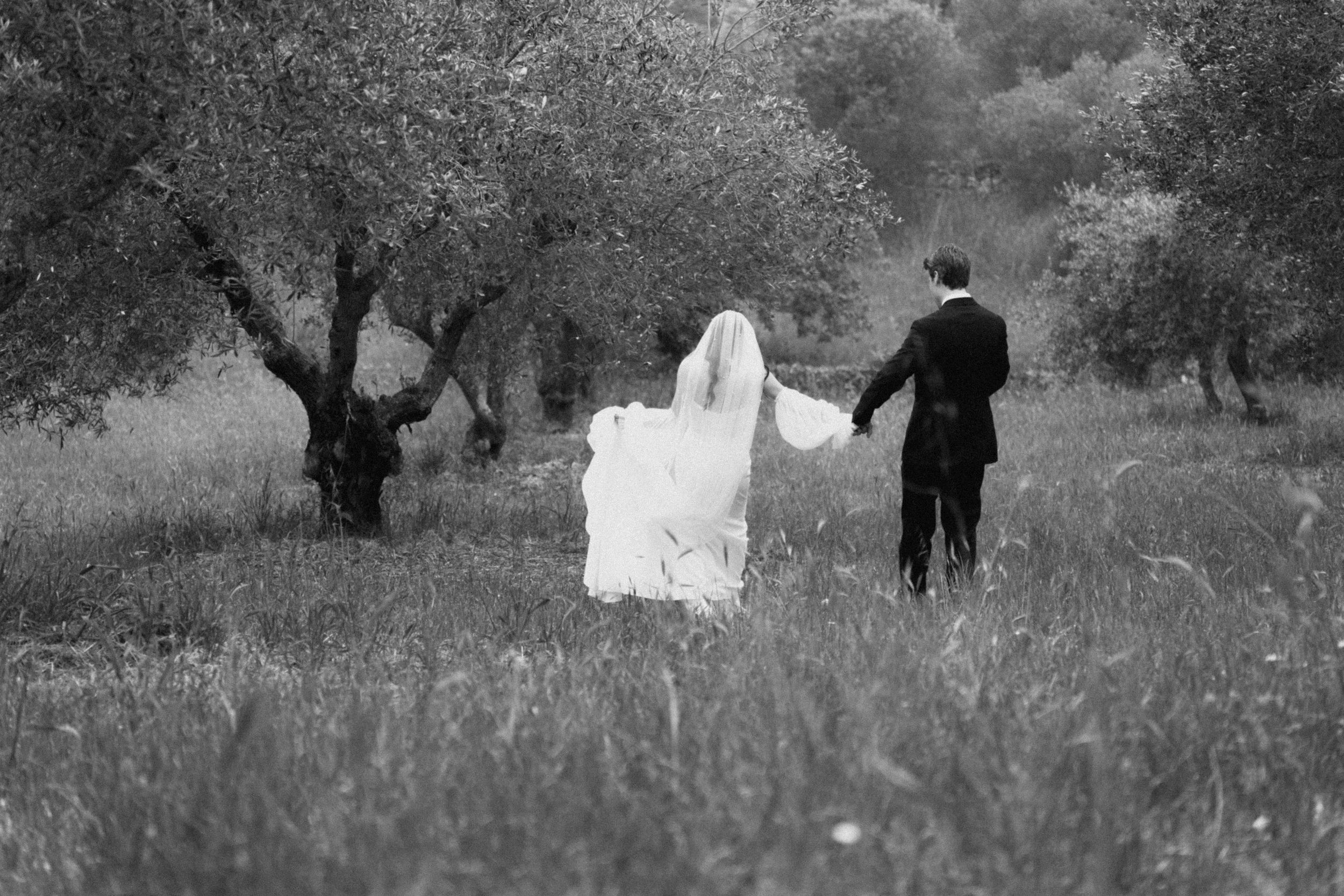 Black and white photo of a bride and groom walking hand in hand through a scenic olive tree grove.