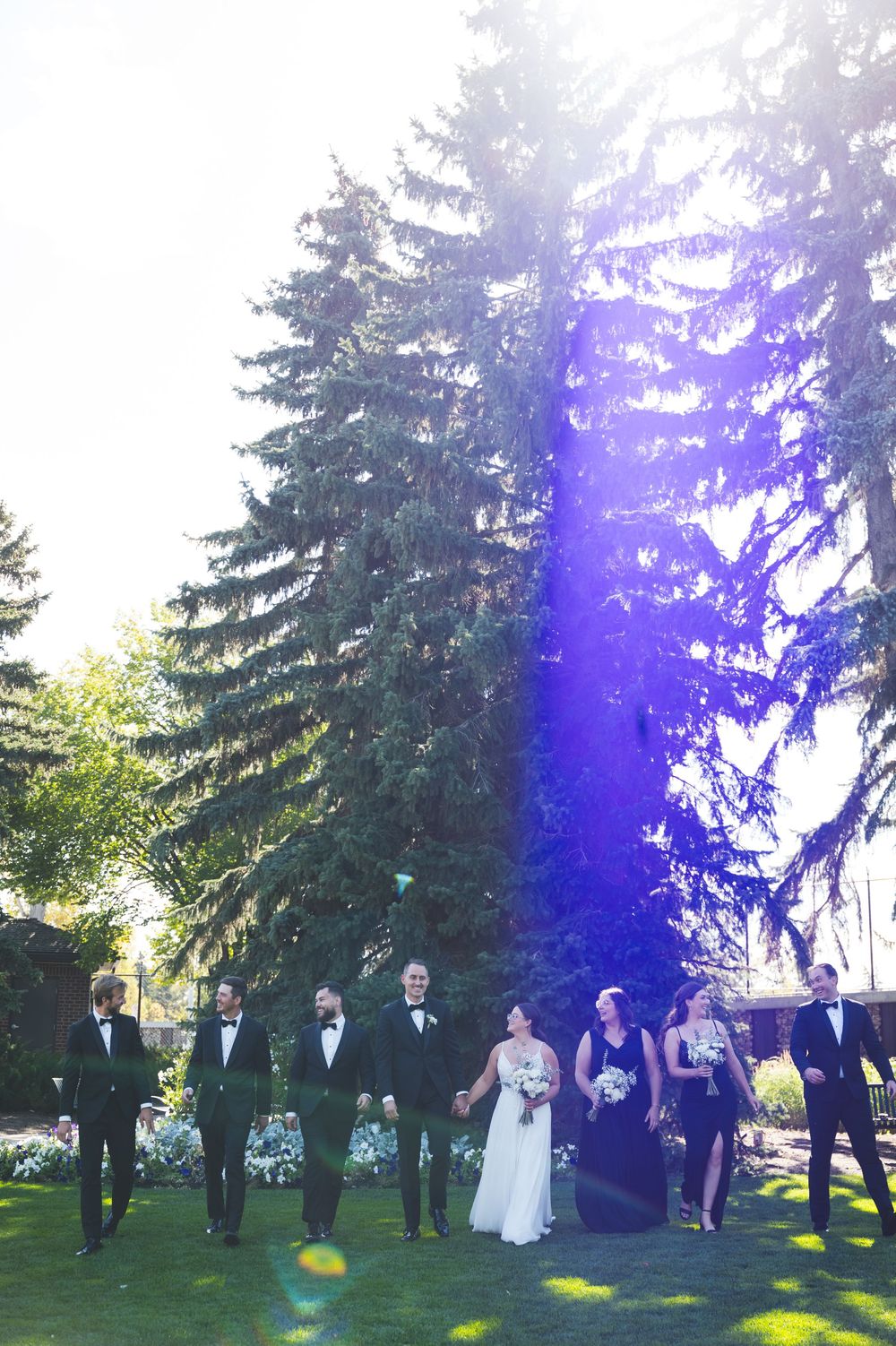 Wedding party posing outdoors in formal attire near tall evergreen trees with sunlight streaming through.