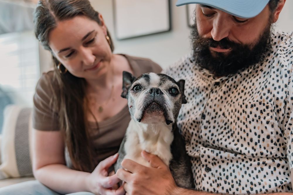 Smiling couple holding an older Boston Terrier dog while sitting on a couch.