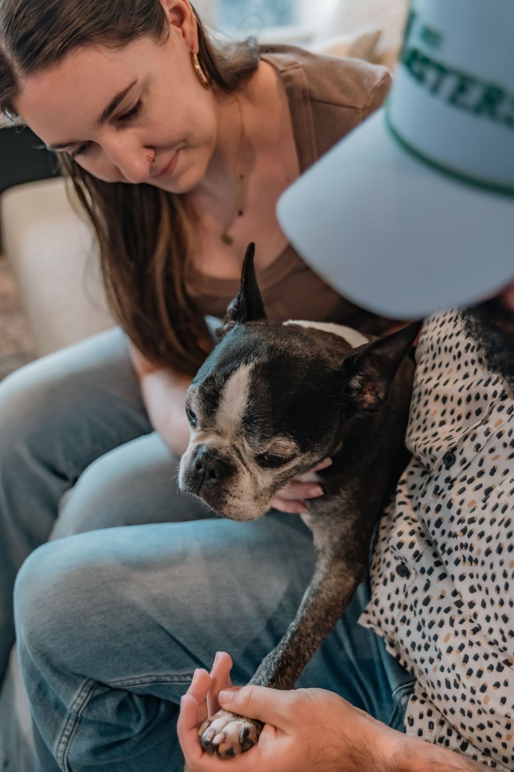 Two people gently holding a small black and white Boston Terrier dog, sharing a tender moment together.