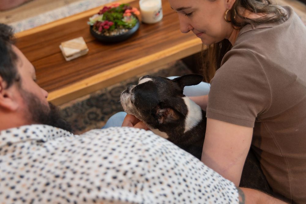 Woman affectionately nuzzling a French Bulldog at a dining table.