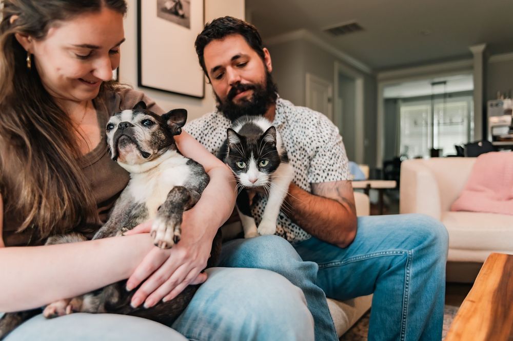 Smiling couple sitting together holding their French Bulldog and tuxedo cat in a cozy living room.