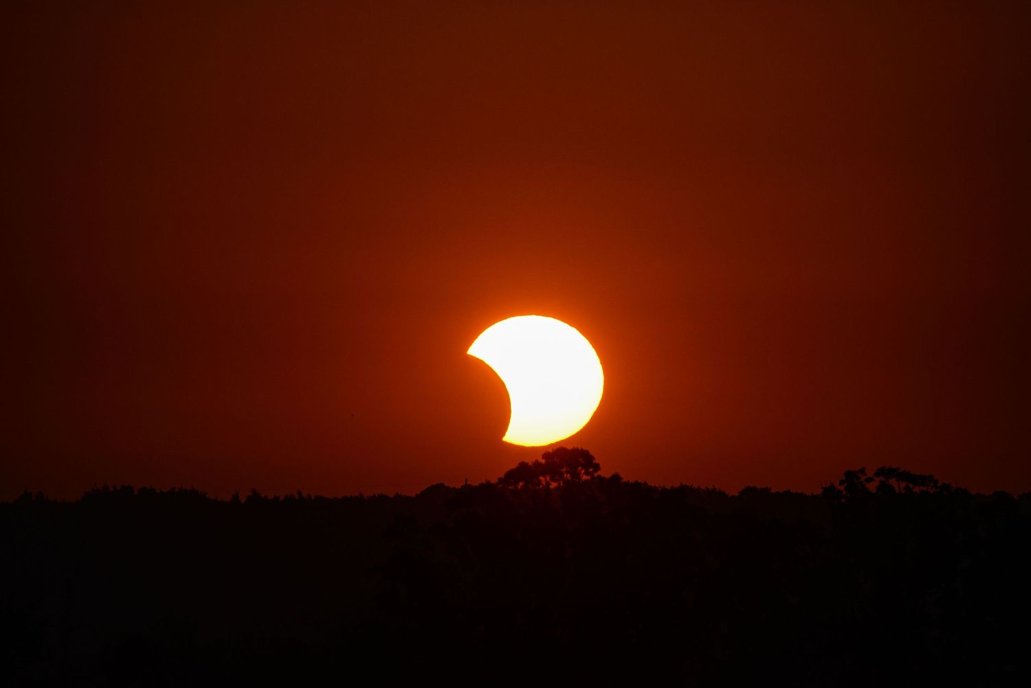 Partial solar eclipse visible as a crescent sun sets over a dark tree line in an orange sky.