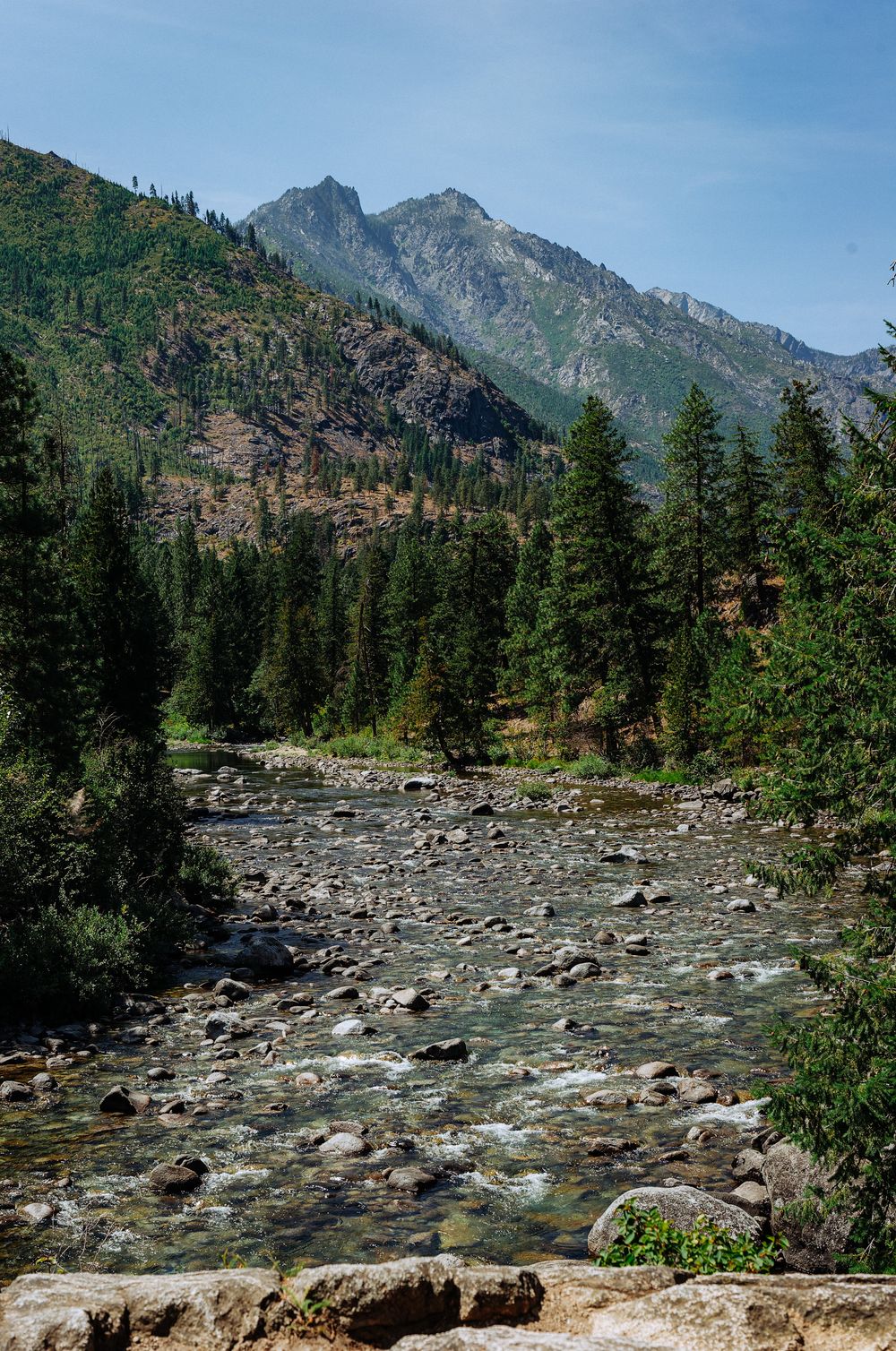 Rocky mountain stream flows through pine forest with rugged peaks under blue sky.