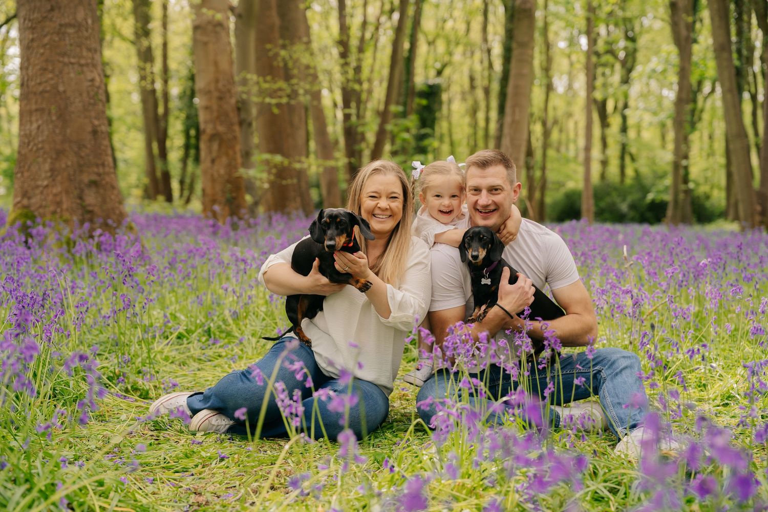 Family with two dachshund puppies sitting in a bluebell woodland, smiling together in a lush spring forest.