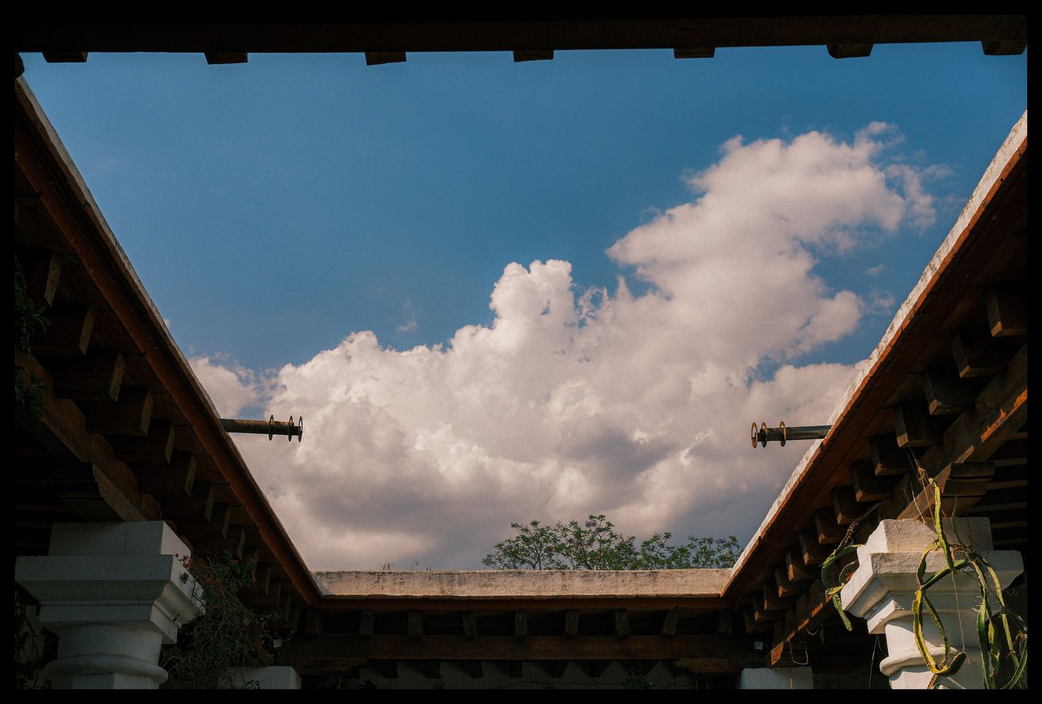 Oaxaca