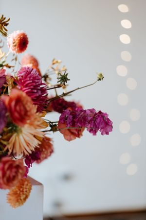 Artistic closeup of pink and orange flowers with bokeh lights in background.