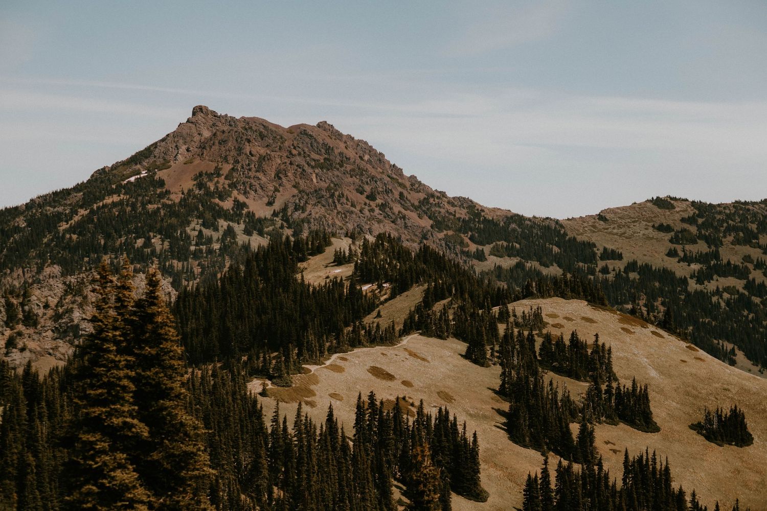 Rocky mountain peak with evergreen forest and golden meadows under a pale blue sky.