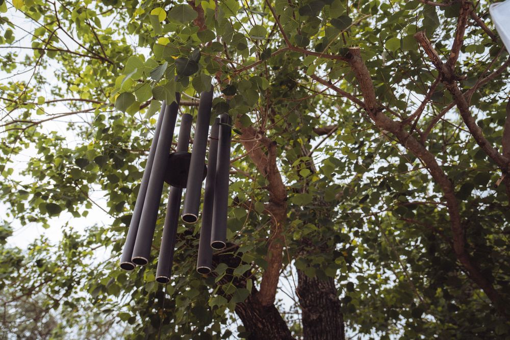 Decorative wind chimes hang from a lush green tree, gently swaying in the breeze outdoors.