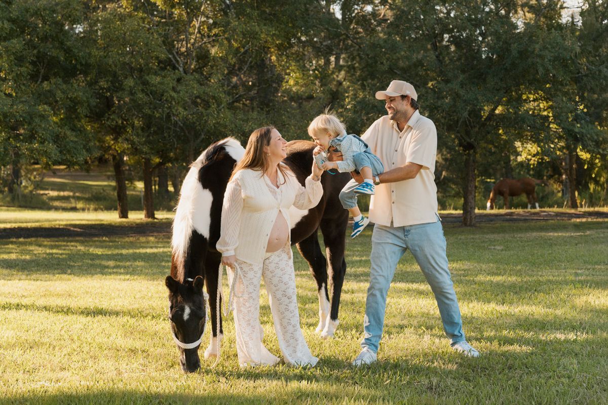 Family with a child petting a black and white horse on a sunny green farm surrounded by trees during a maternity photoshoot near rouse hill
