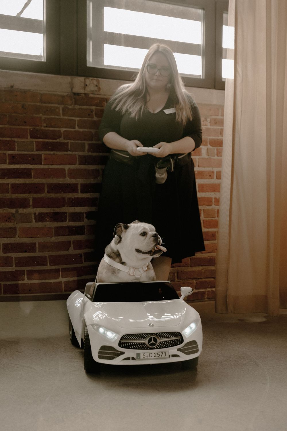 A bulldog sits in a white toy Mercedes car indoors, with a woman in black dress standing behind near a brick wall.