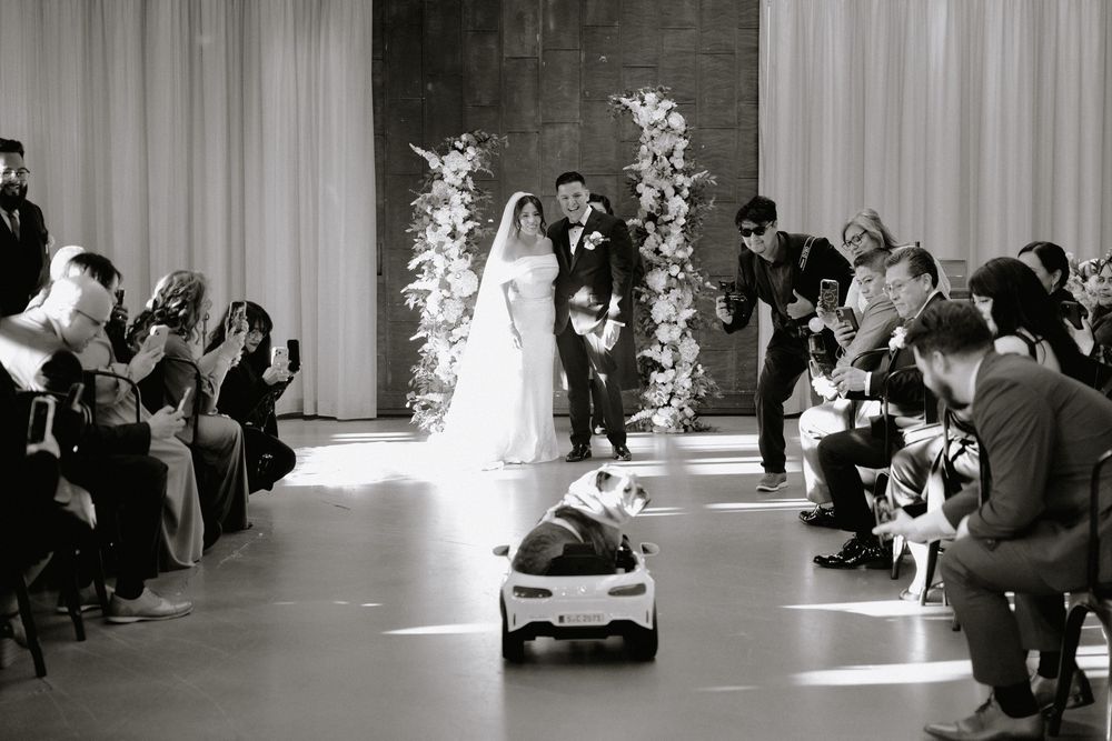 Black and white wedding photo of bride and groom walking down aisle with dog in toy car leading the way.