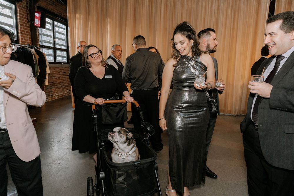 Guests mingle at an elegant event as a woman in a leather dress admires a dog in a stroller.
