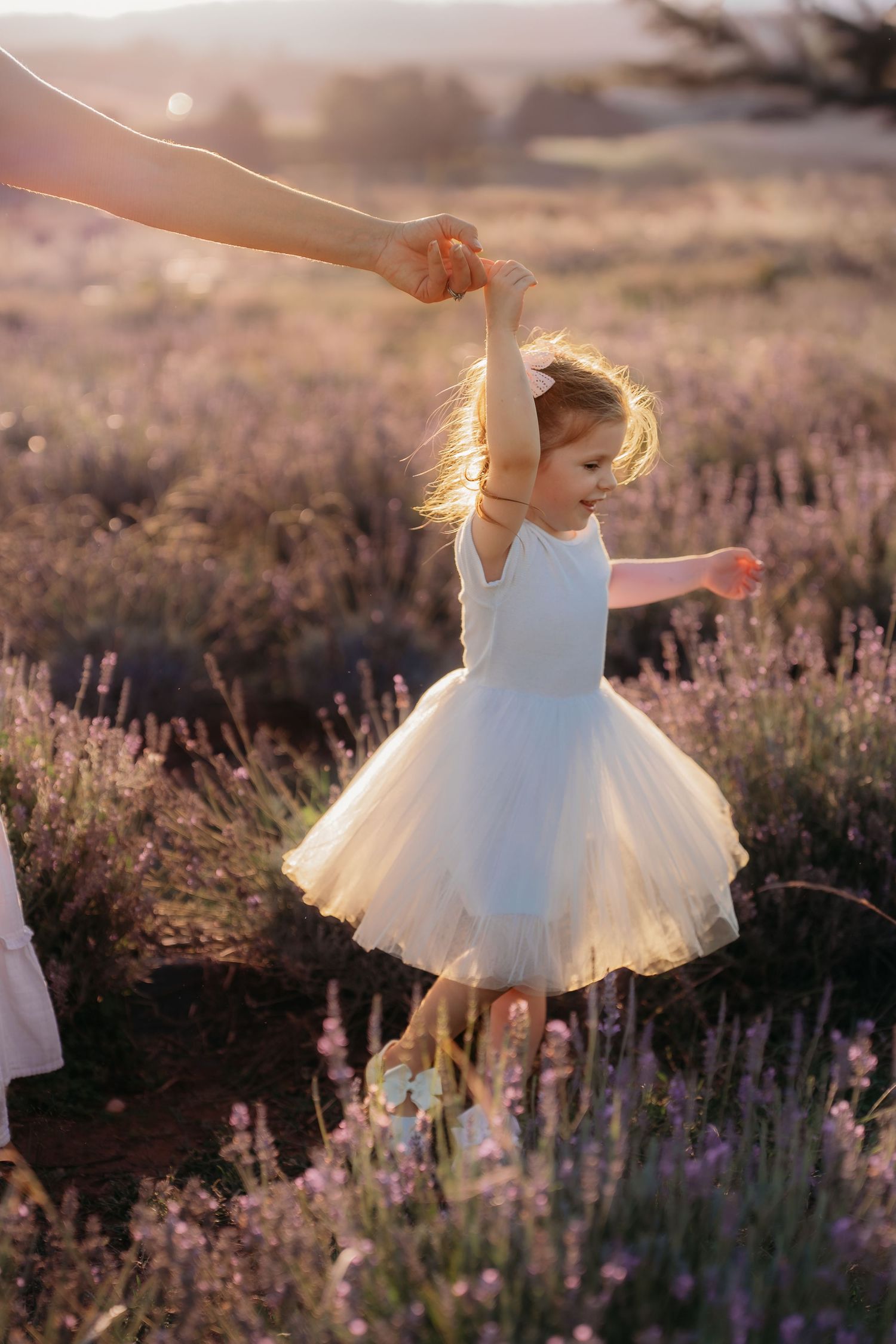 Young girl in white tutu dress dancing in lavender field, held by adult hand at golden sunset.