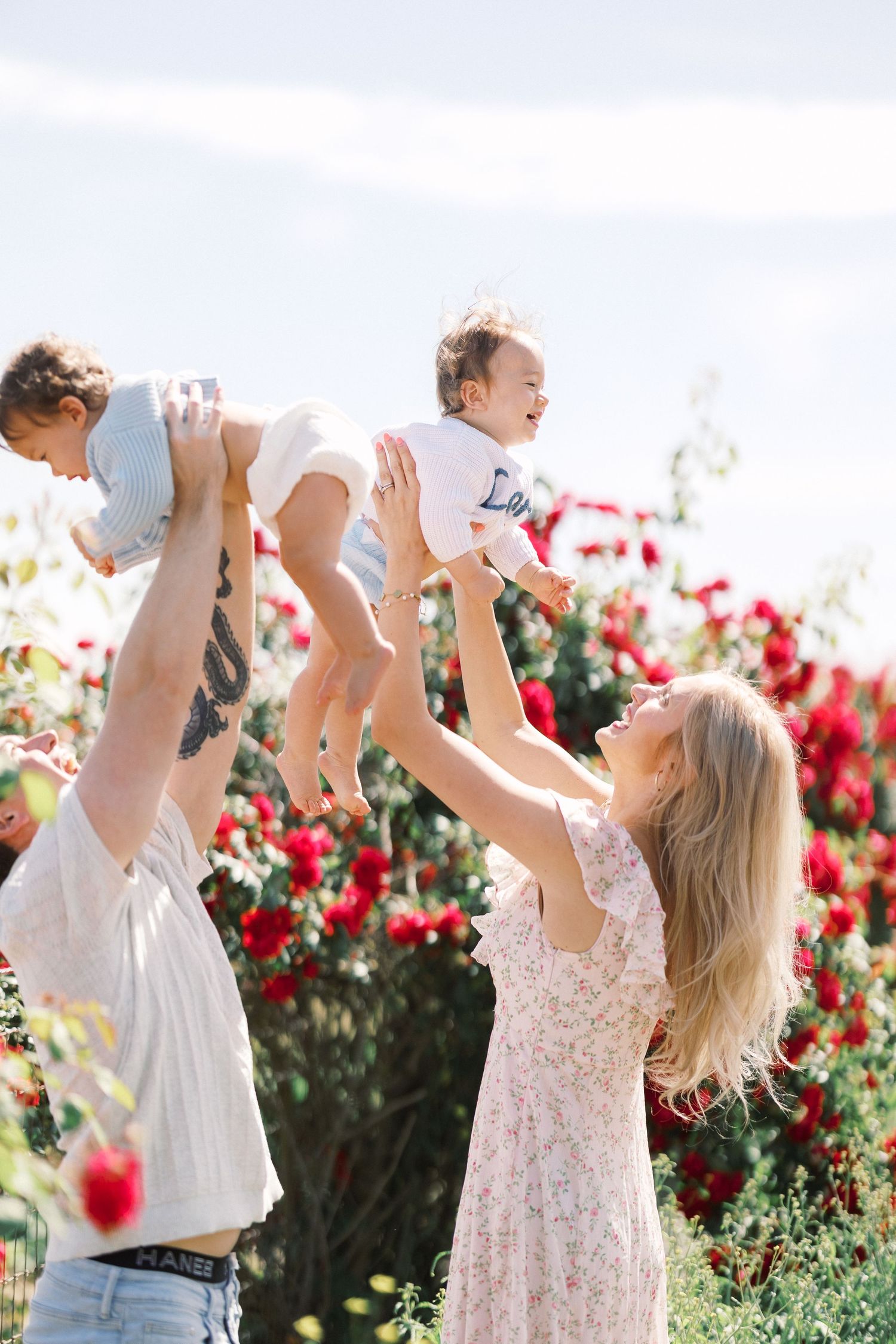 A joyful family lifts two babies in the air outdoors, surrounded by blooming red roses on a sunny day.