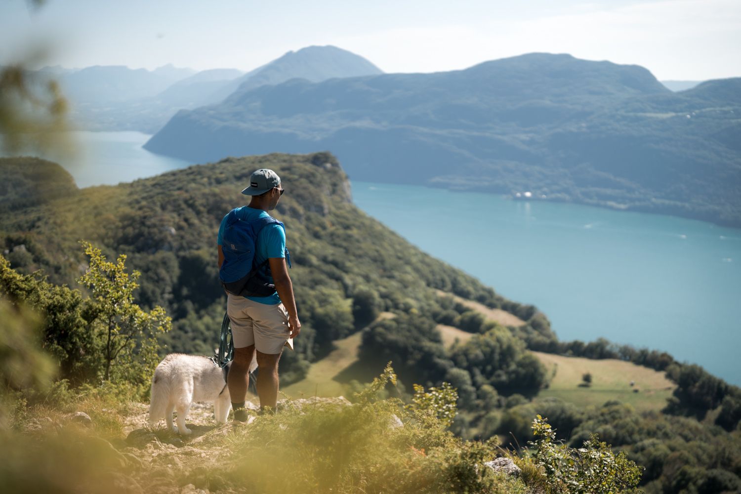 Belvédère de cessens, un homme et son chien se baladent et regardent le lac du bourget en contre-bas