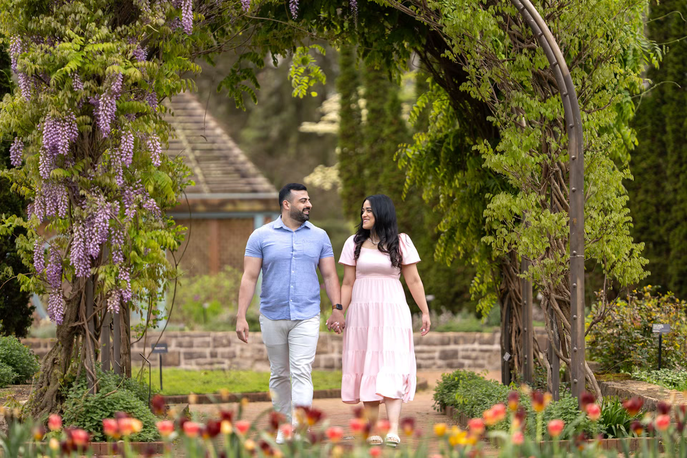 Couple holding hands walking through a garden arch with wisteria blooms and colorful tulips in bloom.