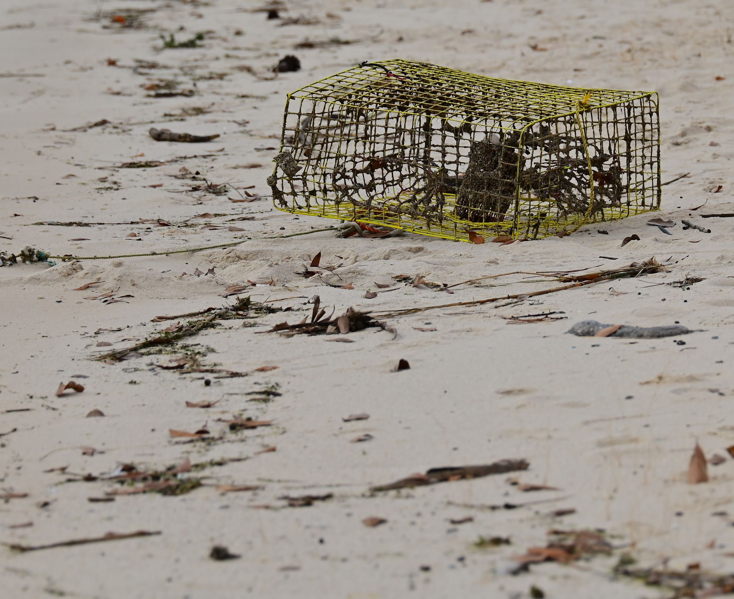 Abandoned crab trap washed ashore on Gulf Coast Mississippi white sand beach