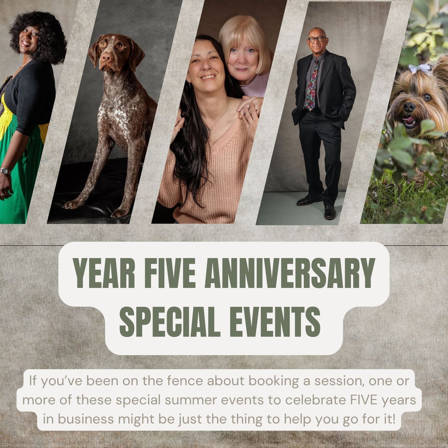 Professional photo collage showing various studio portraits and outdoor scenes with pets, including a dog and artistic poses.