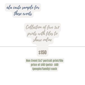 Pricing chart showing photography packages with handwritten text and pricing details in green and gray tones.