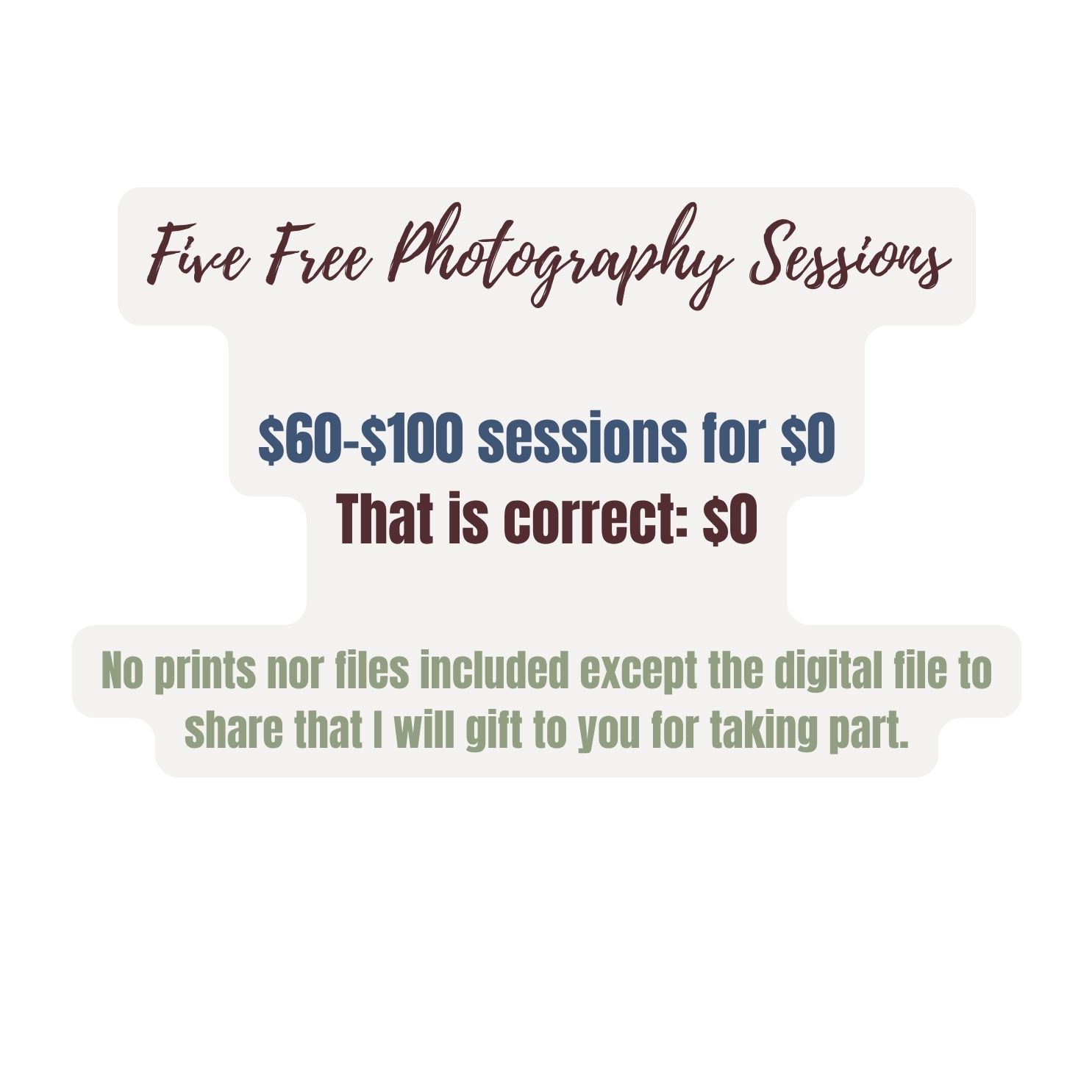 Photography business advertisement offering free sessions valued at $80-100 with a textured grey background.