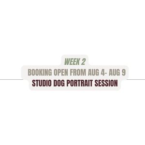 Text announcement for studio dog portrait session bookings open for Week 2 from August 4th to August 9th.