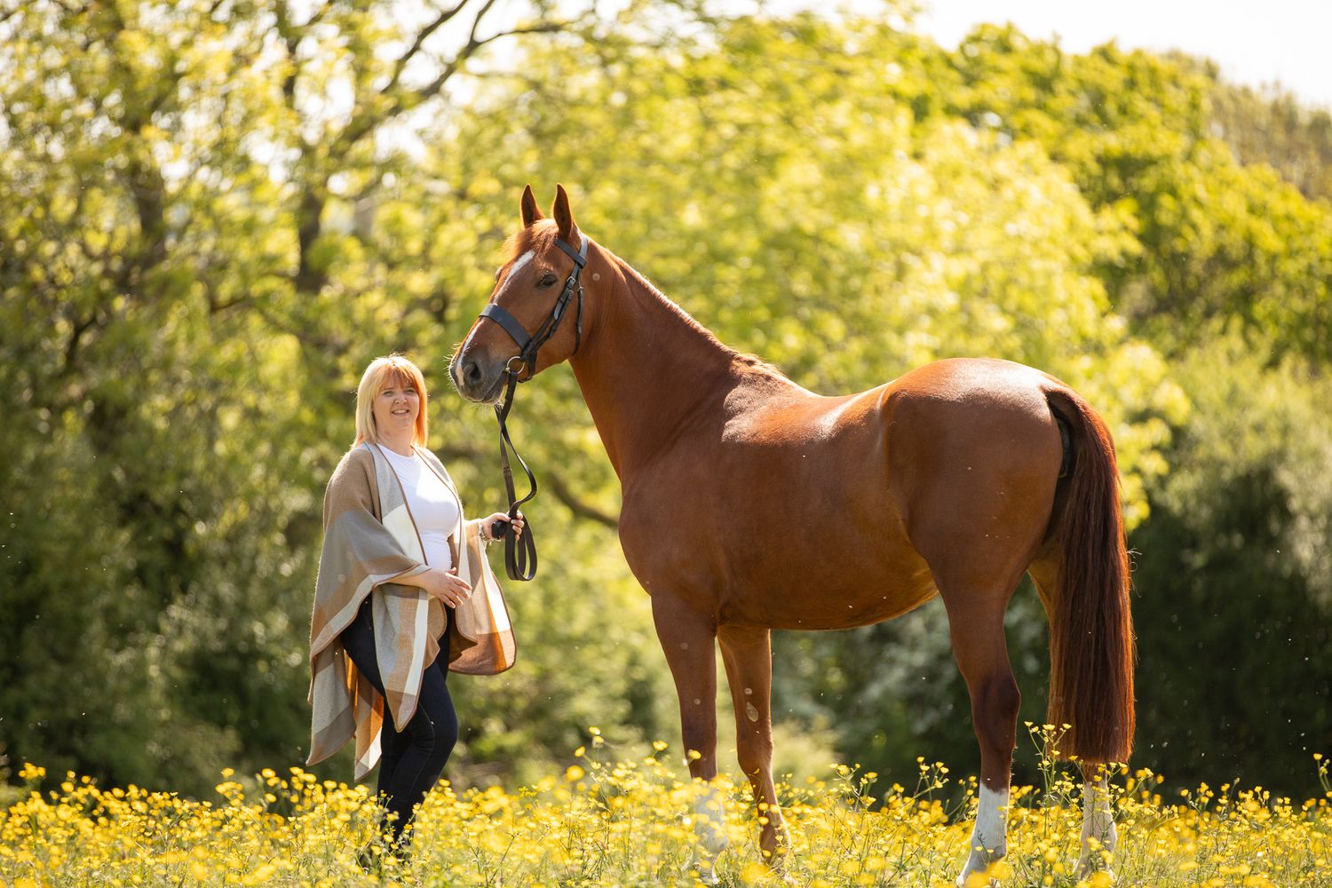 A beautiful black and white paint horse stands with a person on a sunny autumn day outdoors.