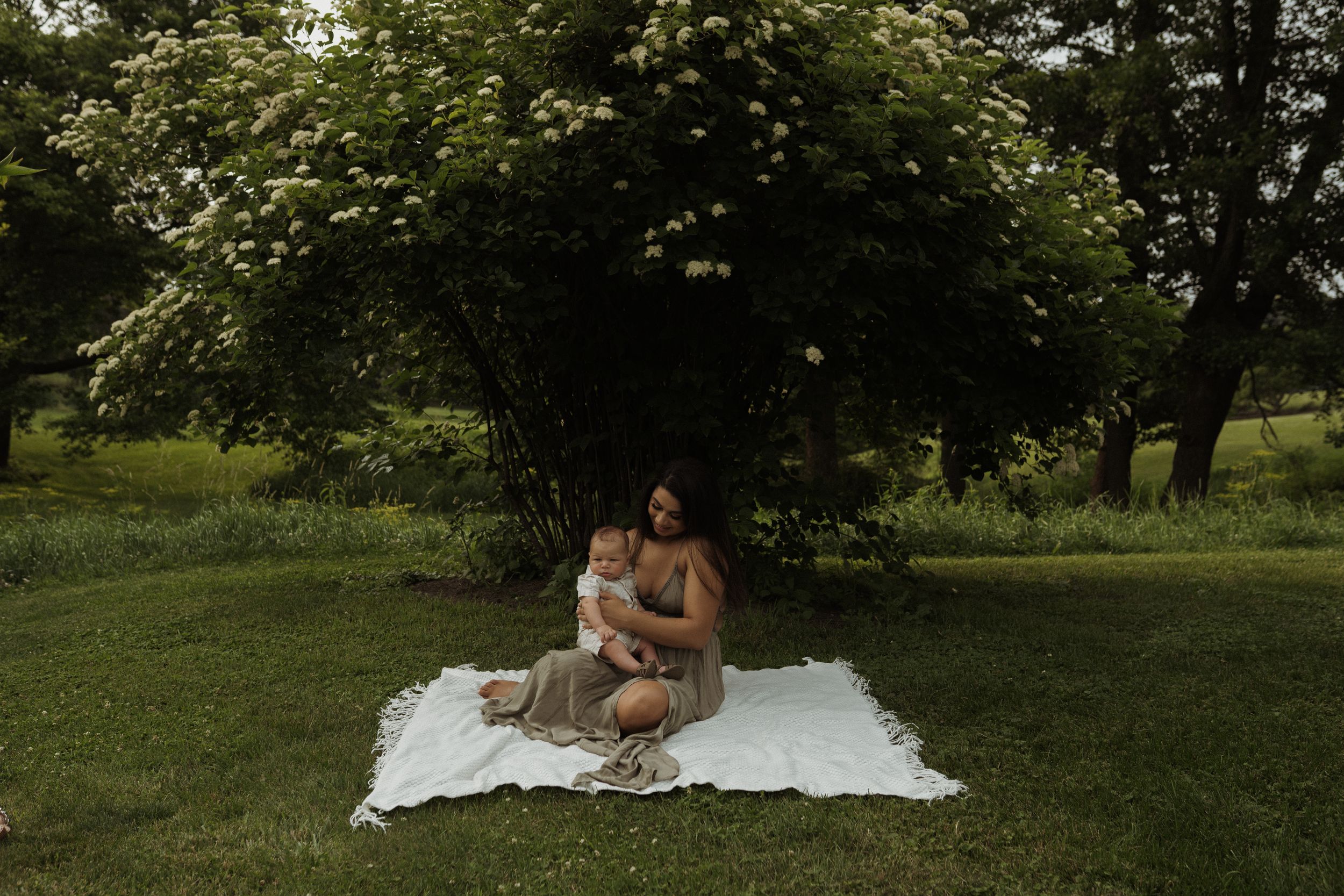 A relaxed outdoor scene with figures sitting on a white blanket under flowering trees.