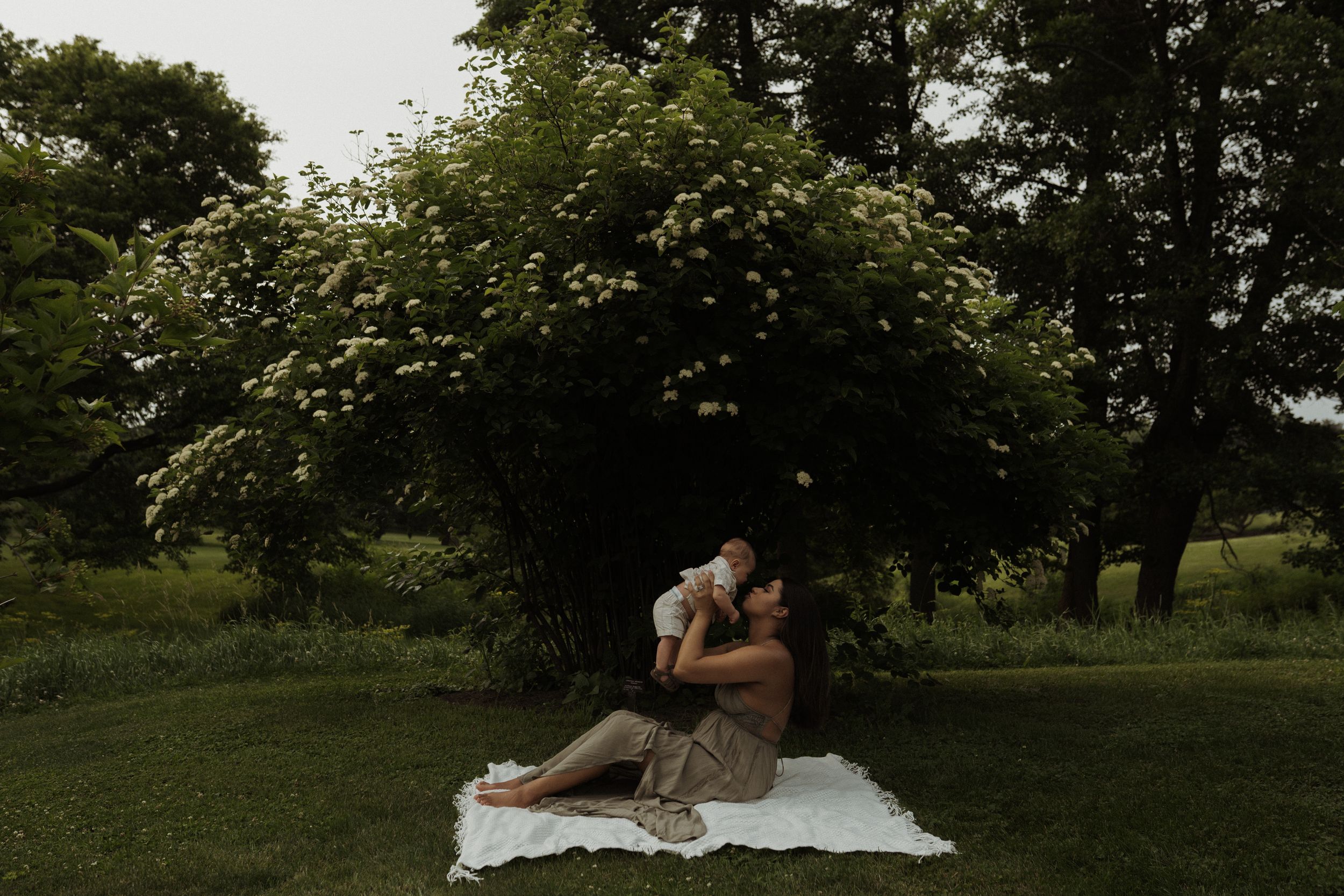 A couple shares an intimate moment while sitting on a white blanket under blooming trees at dusk.