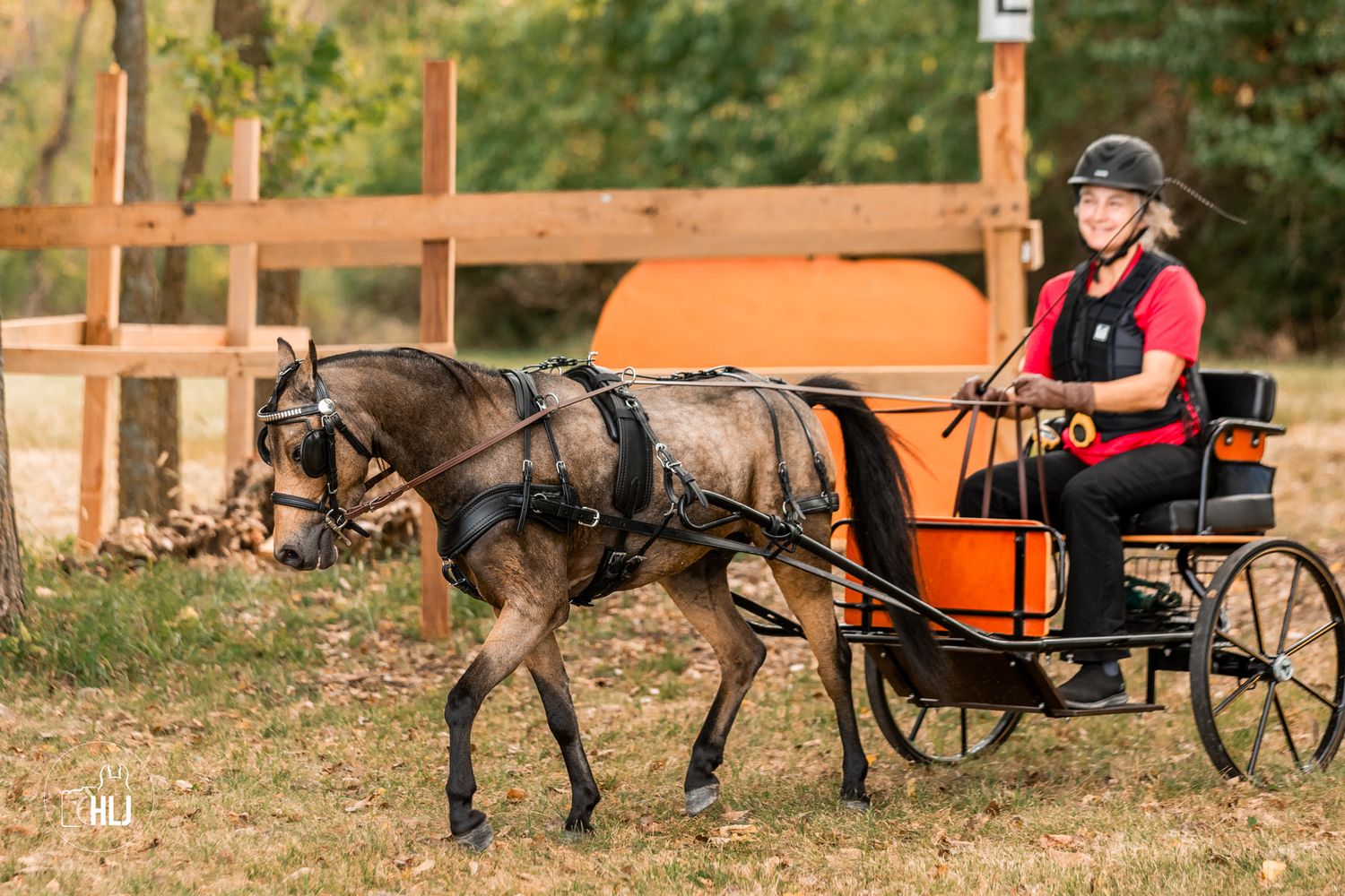 A rider in formal equestrian attire performs dressage on a chestnut horse in a sandy arena with white fencing.