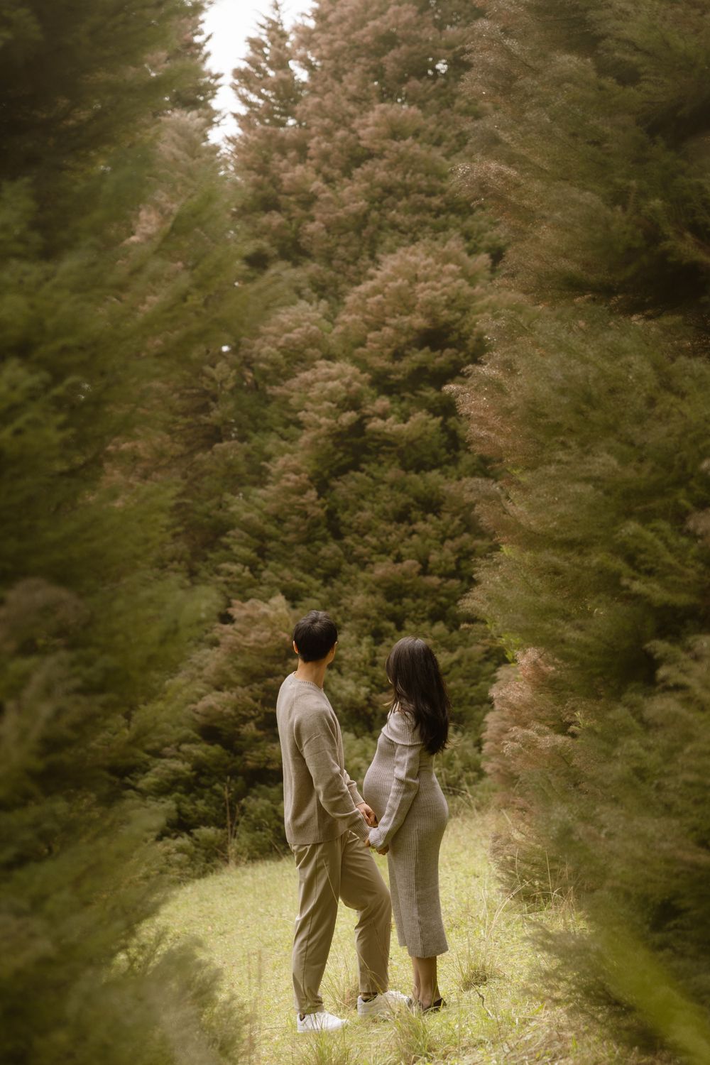 Couple standing together surrounded by tall evergreen trees in a misty forest setting.