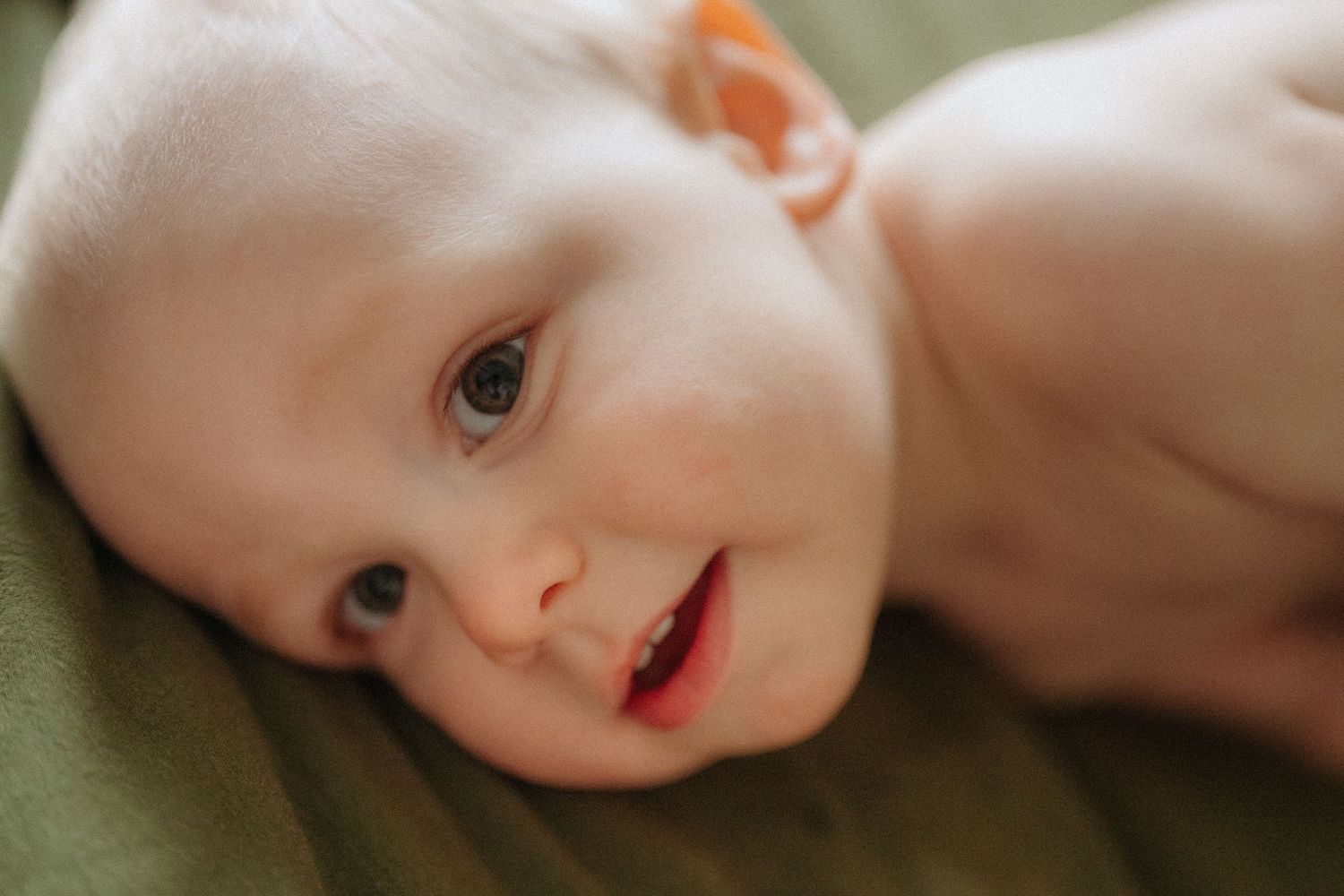 Close-up photo showing a series of similar images laid out in a horizontal row against a neutral background.