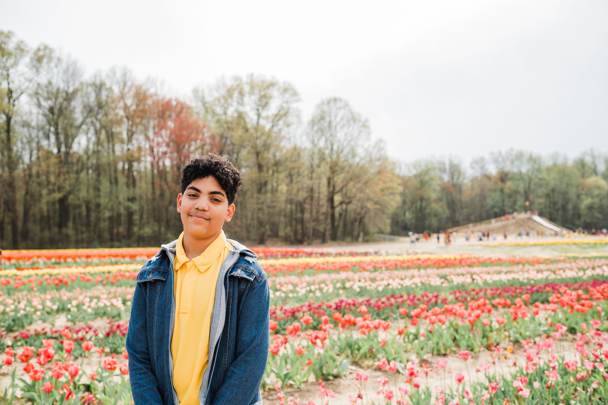 A colorful tulip field blooms with red and white flowers stretching across a scenic spring landscape.