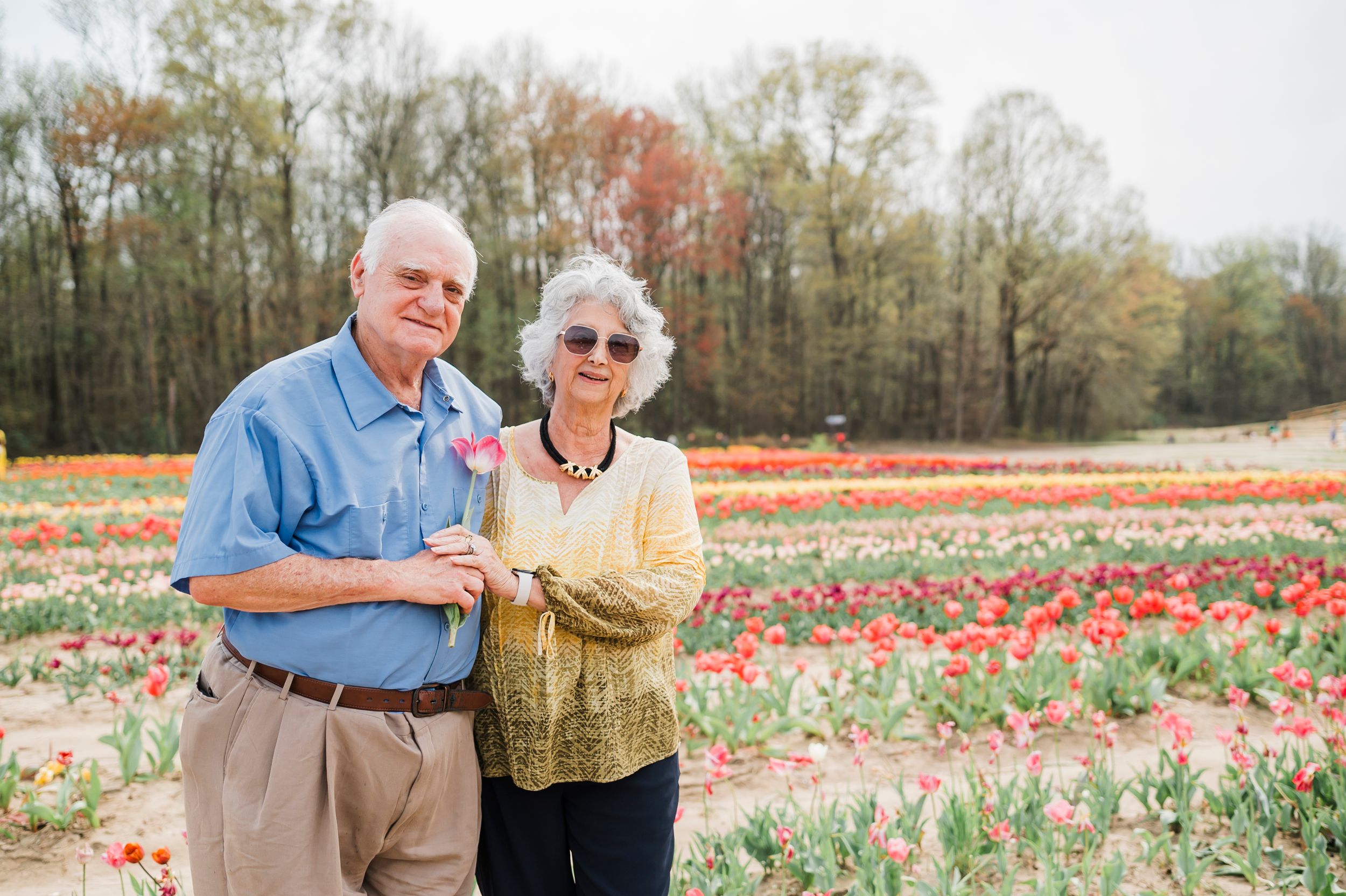 Senior couple admiring colorful tulip fields during springtime at a flower farm.