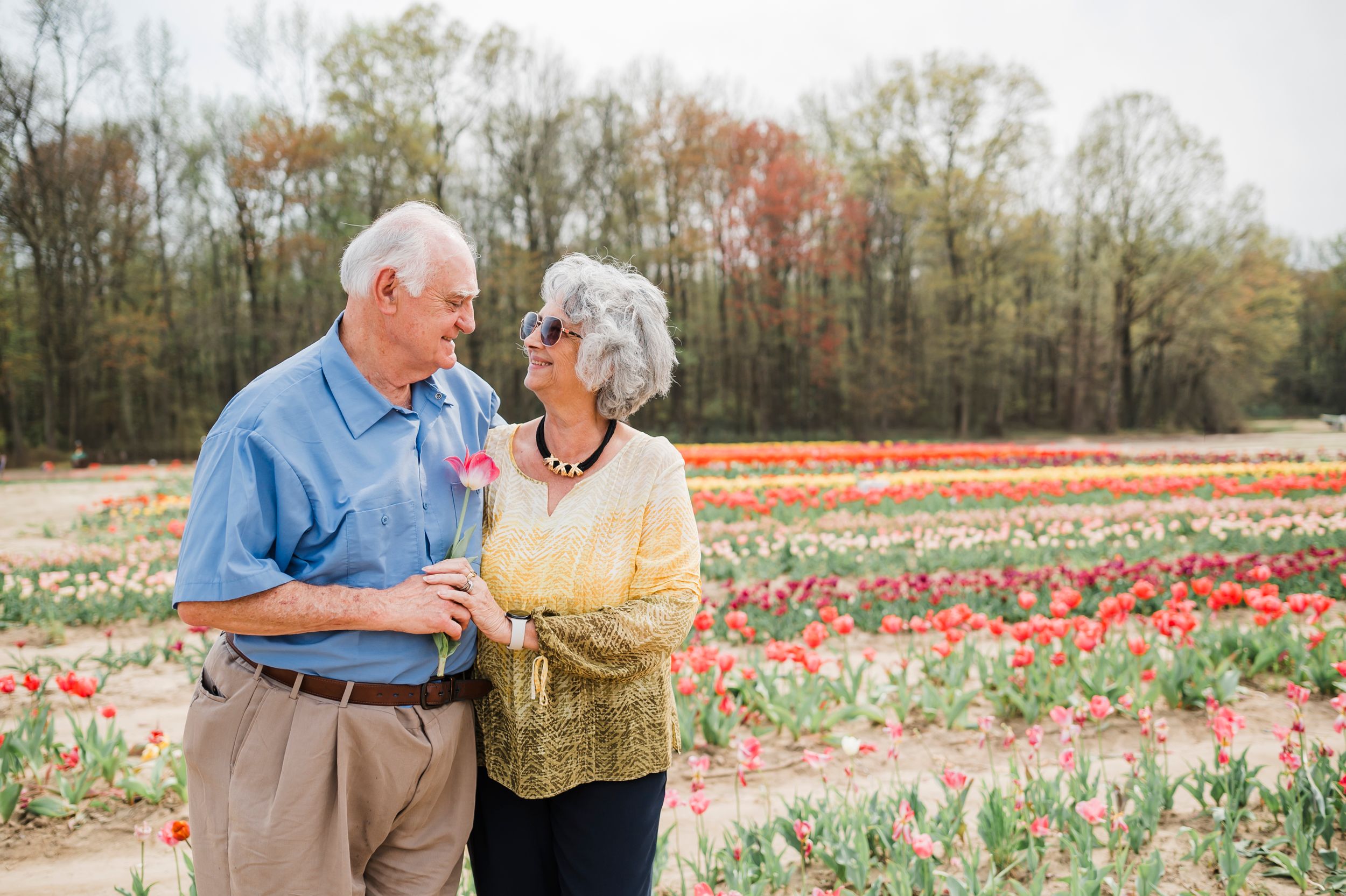Senior couple standing together in a colorful tulip field during fall season with trees in background.