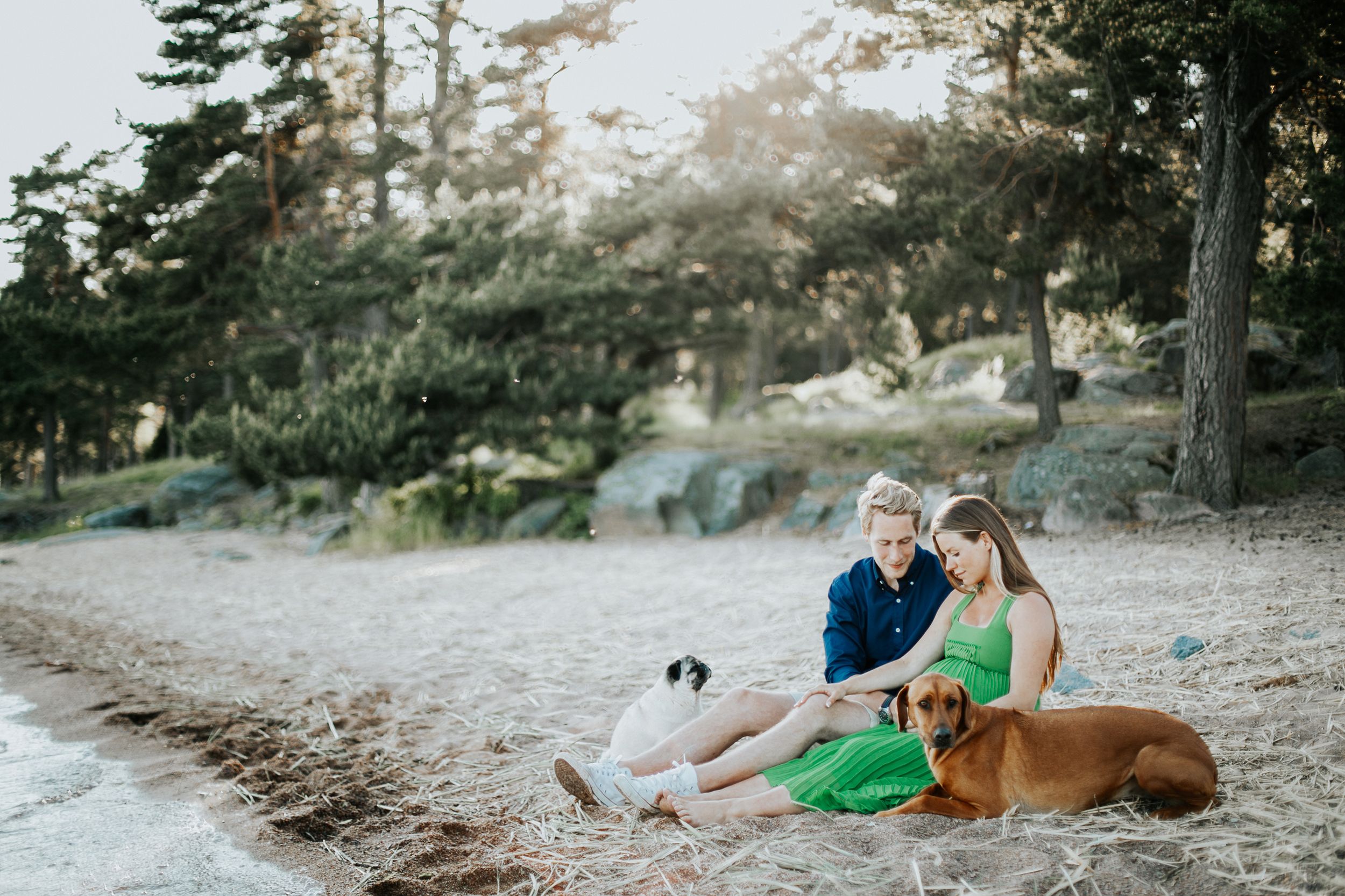 Gravidfotografering med Malin och Per Åslund tillsammans med sina hundar. Fotograf Rebecca Nordin, Karlstad.