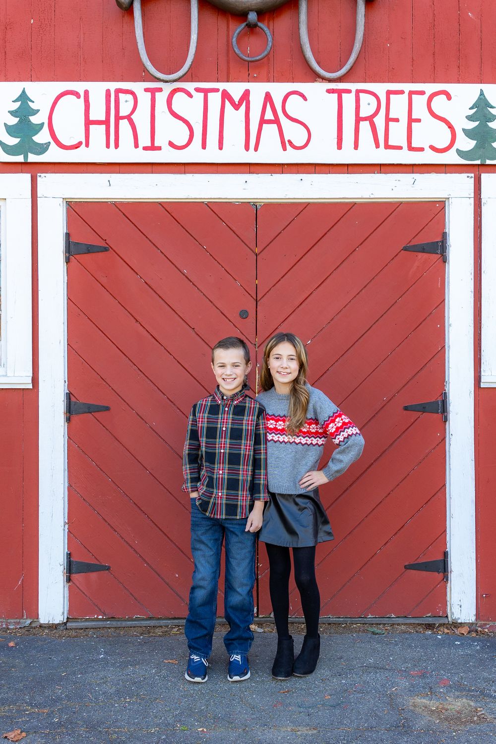 Siblings pose together at Mistletoe Christmas Tree Farm in Stow, MA at holiday photos by Lisa West Photography www.lisawestphotography.com