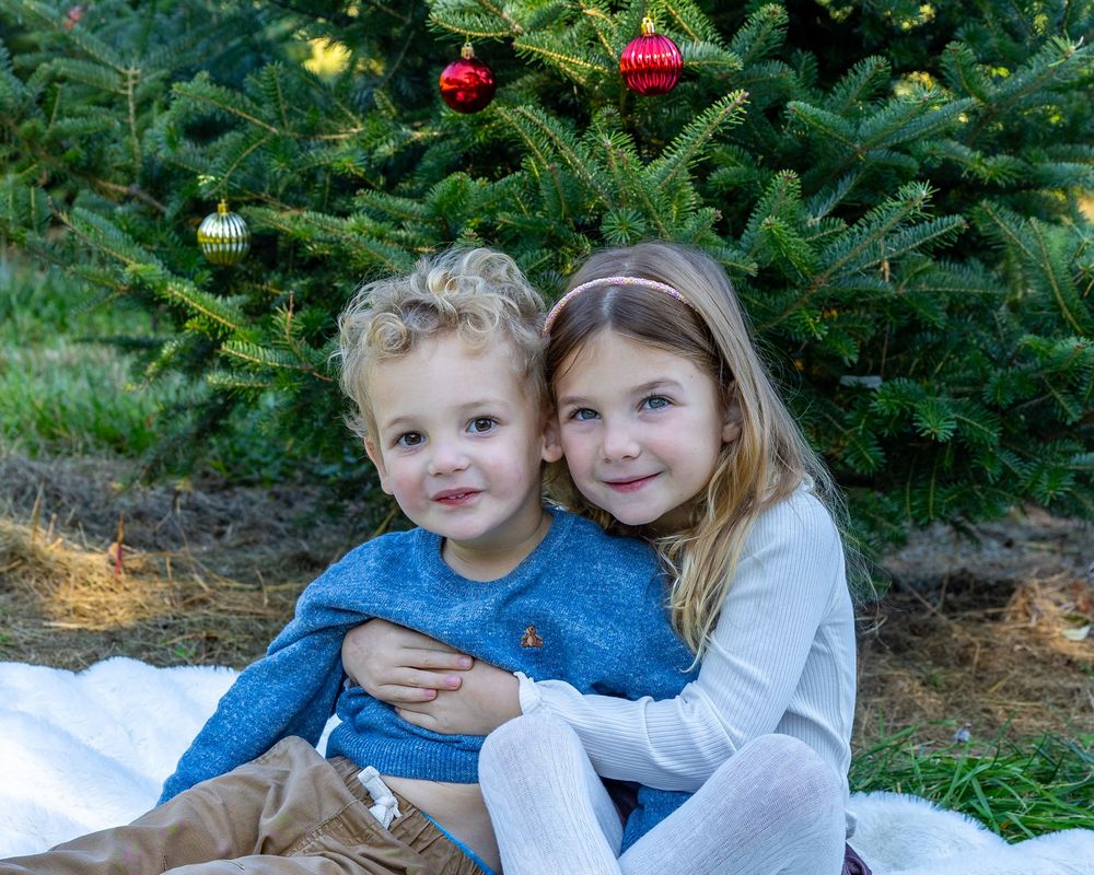 Siblings snuggle in front of a Christmas Tree at a holiday photo mini-session in the Metrowest of Boston by Lisa West Photography in Stow