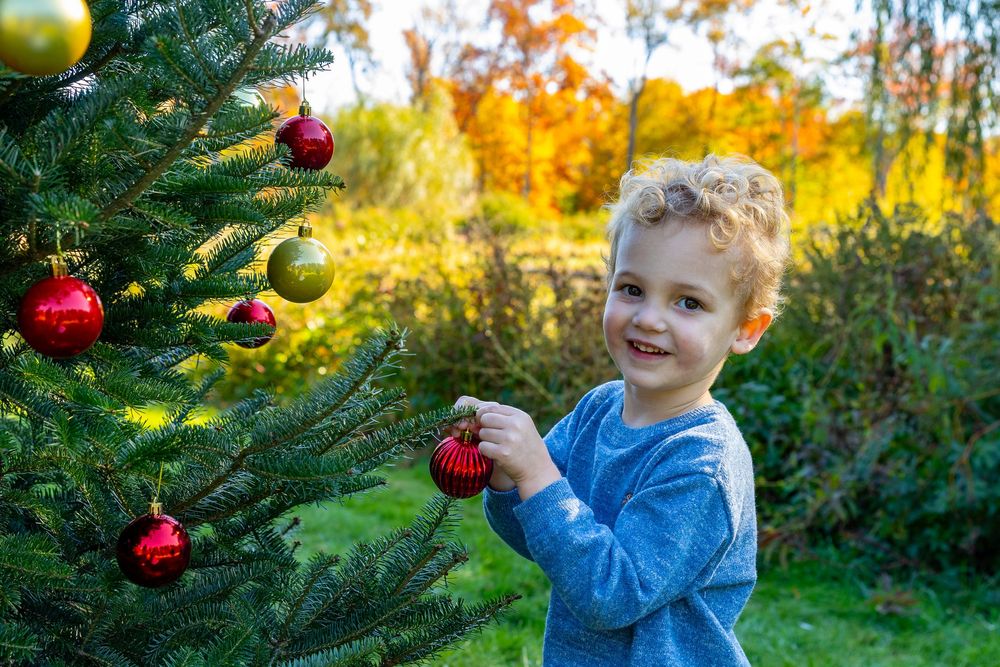A boy decorates a christmas tree in a field at Mistletoe Christmas Tree Farm in Stow, MA at holiday photo shoot by Lisa West Photography.