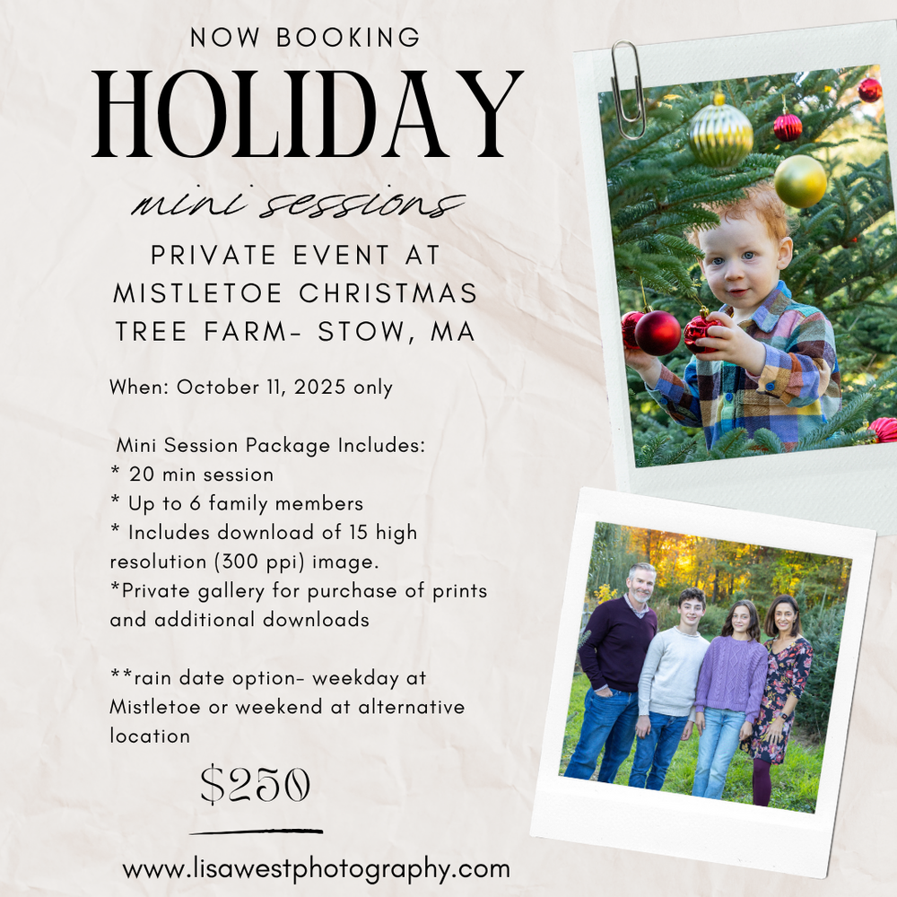 Mini photography session details for a holiday shoot at Mistletoe Christmas Tree Farm in Stow, MA on October 11th with Lisa West Photography