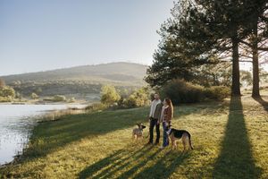 Couple walking two dogs on green grass by a serene lake with rolling hills and tall trees in warm sunlight.