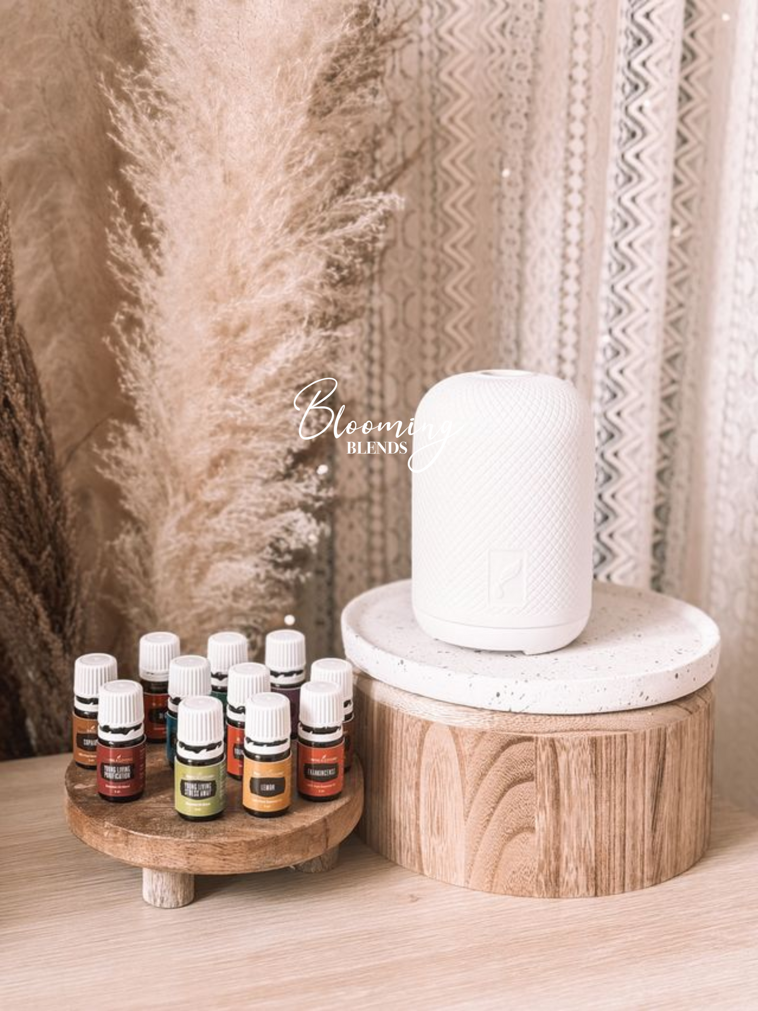 premium starterskit young living met haven Diffuser
olie start 100% zuivere olie
verhoogd bewustzijn
beginnen met etherische olie
