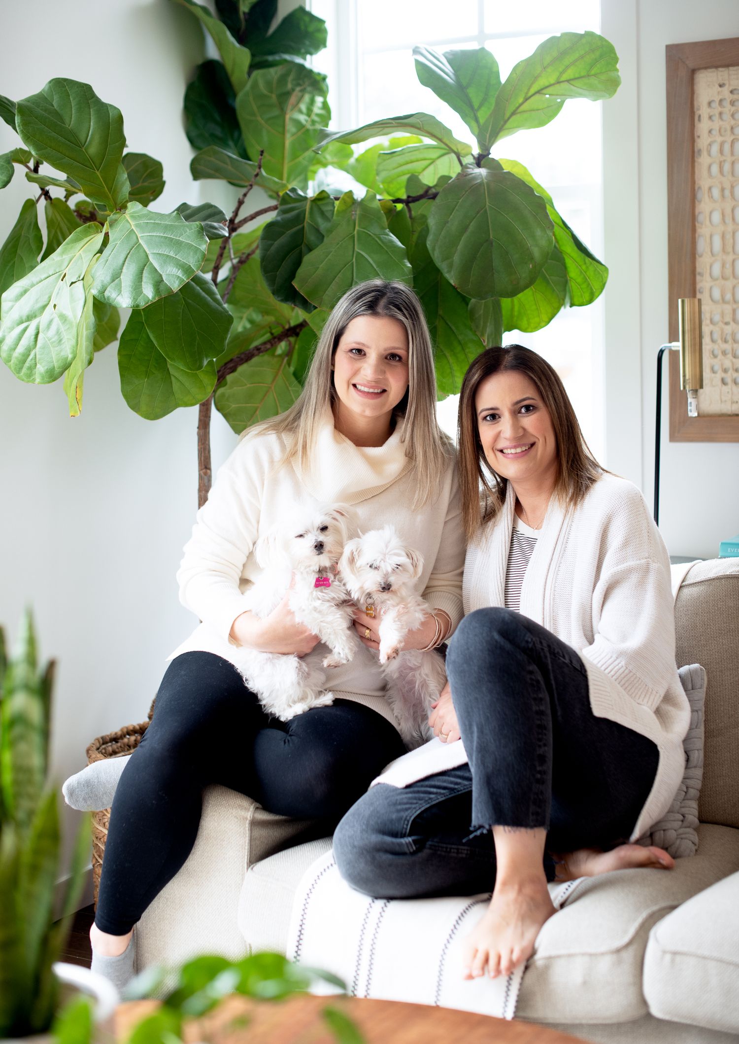 Cozy indoor scene with houseplants featuring two people and a small white dog on white couch.