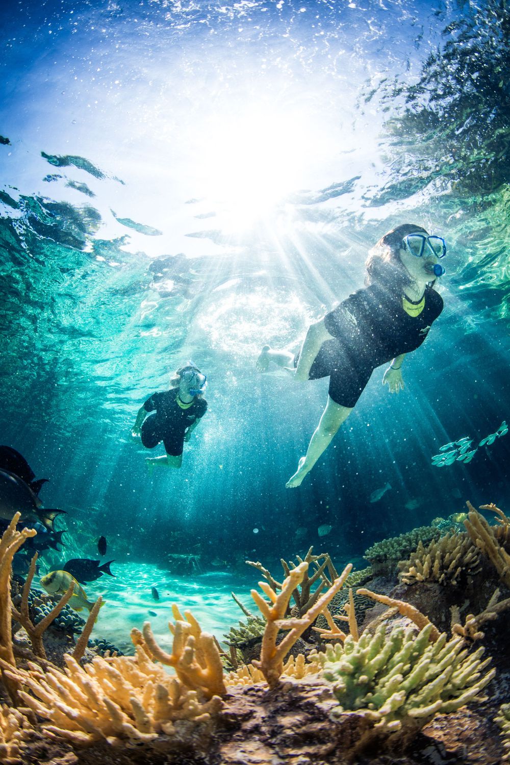 Snorkelers explore vibrant coral reef in turquoise waters with sunlight streaming through crystal clear ocean.