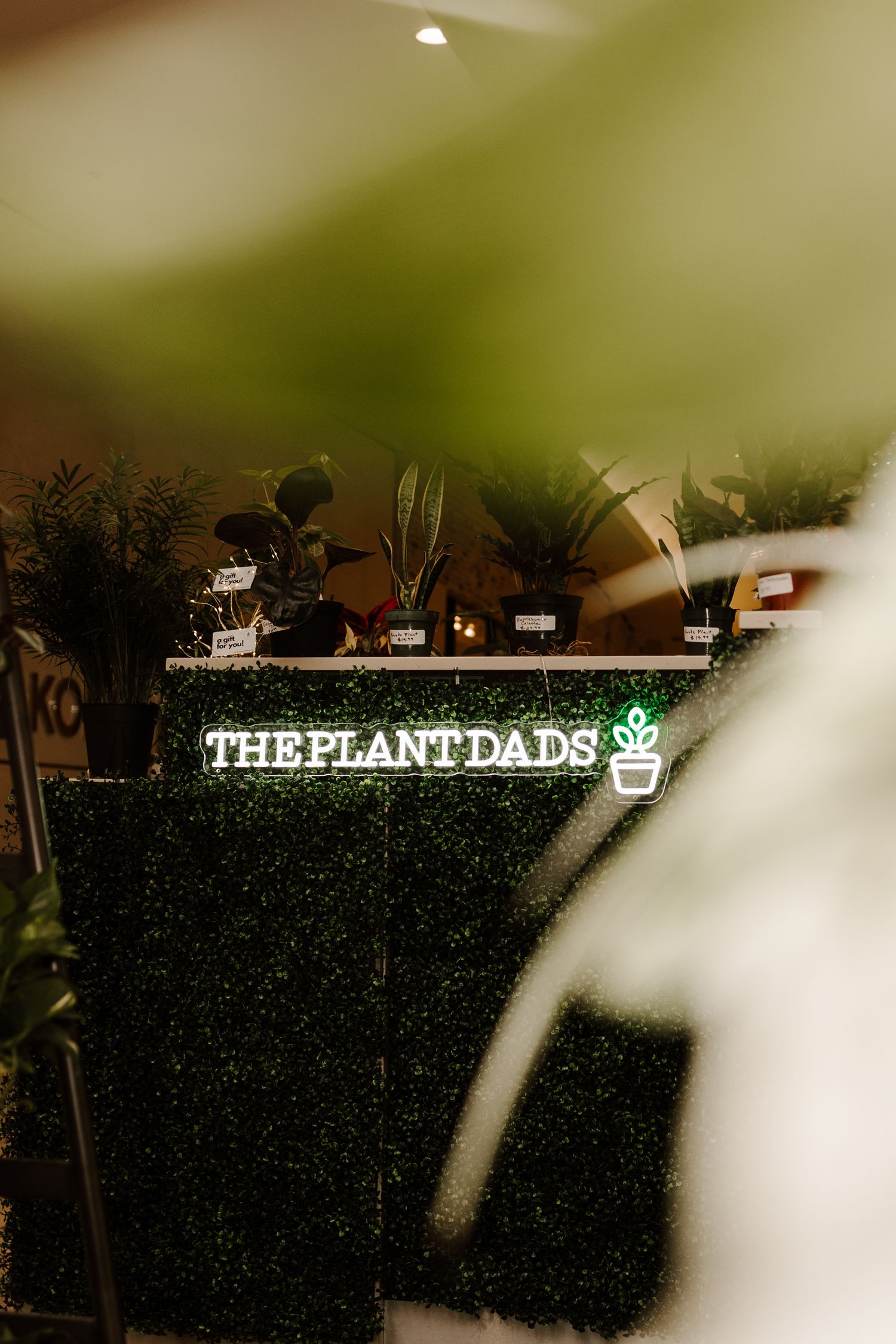 A neon sign reading 'THE PLANT DADS' surrounded by indoor plants and greenery.