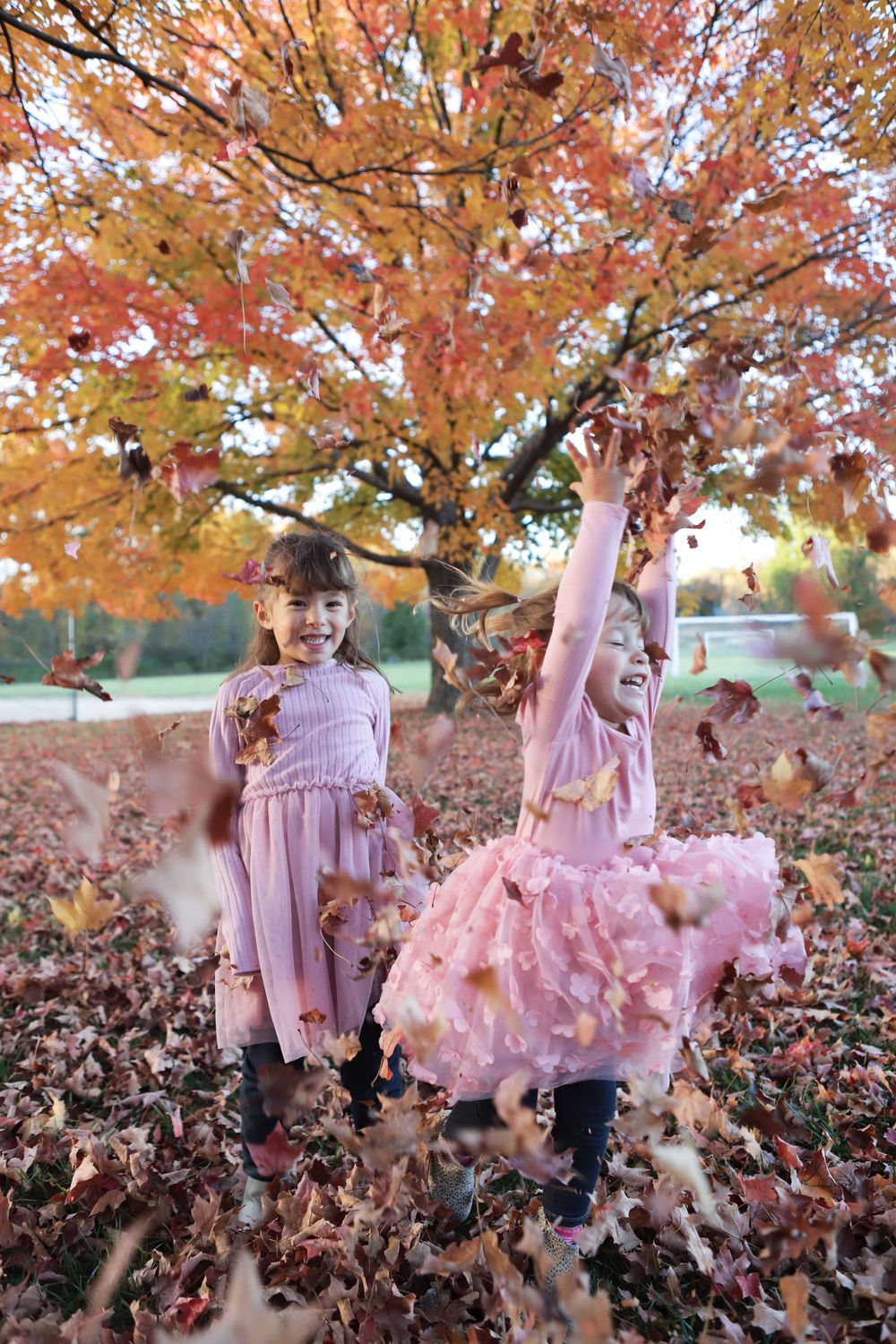 Leaf Play