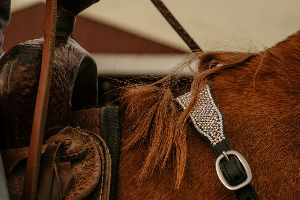 Ornate silver and leather bridle detail on chestnut horse.